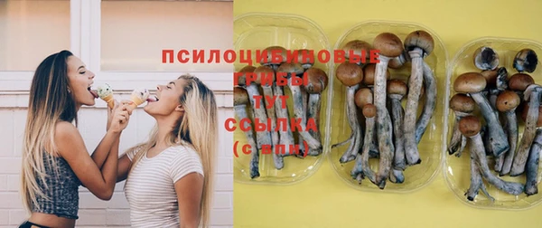 ПСИЛОЦИБИНОВЫЕ ГРИБЫ Аркадак
